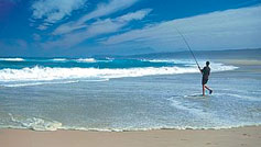 fishing